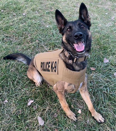 Indiana State Police K9 Receives Donation Of Body Armor In Memory Of