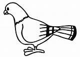 Colorear Paloma Duif Kleurplaat Pigeon Colomba Taube Disegno Malvorlage Palomas Educima Pomba Aves Ausmalbild Schulbilder Grote Scarica sketch template