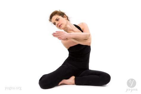 praying mantis yogea yoga    box yoga poses yin yoga