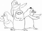 Coloring Pages Madagascar Penguins Alexander Related Posts Popular Printable sketch template