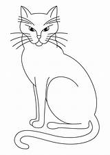 Pisica Colorat Desene Planse Animale sketch template