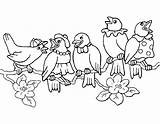 Vogeltjes Vogels Kleurplaten Kleuren Oiseaux Flevoland sketch template