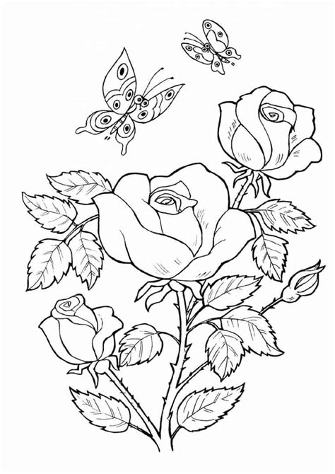 butterfly  flower coloring pages flower coloring pages rose
