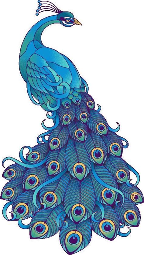 crmla clip art picture of peacock