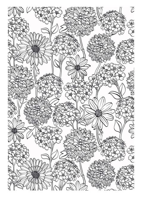images  floral coloring pages  adults  pinterest