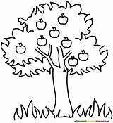 Fruit Tree Drawing Coloring Getdrawings Pages sketch template