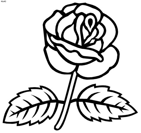 flowers  roses coloring pages