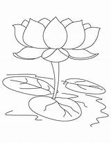 Lotus Coloring Flower Pages Sacred Drawing Color Clipart Colouring Sheet Template Kids Sketch Printable Getdrawings Hindu Print Getcolorings Library Popular sketch template