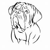 Dog Bordeaux Mastiff Dogue French Coloring Dessin Chien Pages Drawing Embroidery Myla Designs Drawings Bulldog Portrait English Set sketch template