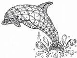 Coloring Dolphin Pages Zentangle Book Printable Colouring Coloringpagesfortoddlers Books Choose Board Animal sketch template