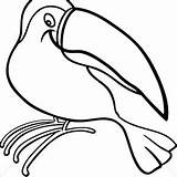 Toucan Outline Beak Coloring Bird Keel Pages Drawings Clip Drawing Cute Template Clipart Sheet 300px 23kb Print Getdrawings Utilising Button sketch template