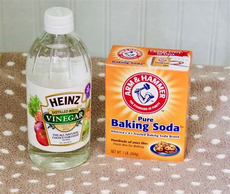 dishwasher photo  guides dishwasher cleaning  baking soda