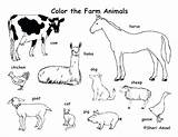 Farm Animals Coloring Animal Pages Print Printable Color Preschool Zoo Baby Colouring Tundra Equipment Arctic Kids Labeling Drawing Jam Cute sketch template