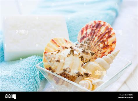 sea shell spa concept stock photo alamy