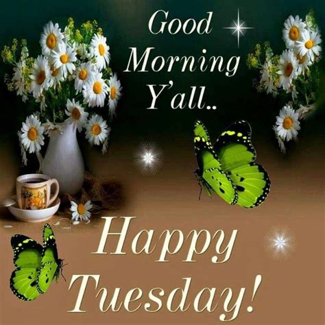 good morning yallhappy tuesday pictures   images