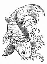Coloring Japanese Koi Pages Fish Drawing Printable Colouring Color Japan Psychedelic Getcolorings Gif Library Getdrawings Popular Comments sketch template