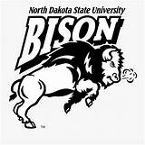 Ndsu Bison Logo Transparent Coloring Vector Pages Svg University State Dakota Clipart North Logos Clipartkey Brand States United Sports sketch template
