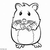 Hamster Realistic sketch template