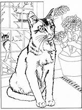 Katze sketch template
