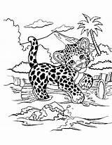Cheetah Family sketch template