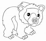 Cub Schattige Kleurplaat Bruine Bears Supercoloring Categorieën Getdrawings sketch template