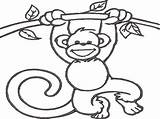 Embroidery Monkey Designs Line Coloring Red Machine Wingsicalwhims sketch template