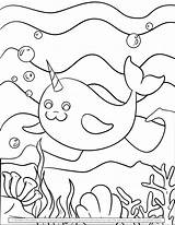 Narwhals Narwhal sketch template