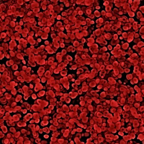 excellent background image  red blood cells   microscope