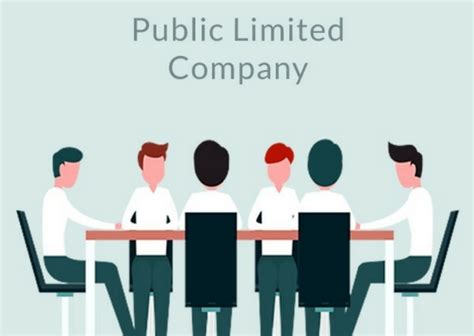 public limited company aapka consultant