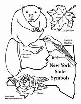 York State Coloring Symbols Pdf Getdrawings sketch template