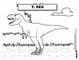 Dinosaurios Dino Tiranosaurio K5worksheets Worksheets Coloreando Salvavidas K5 sketch template