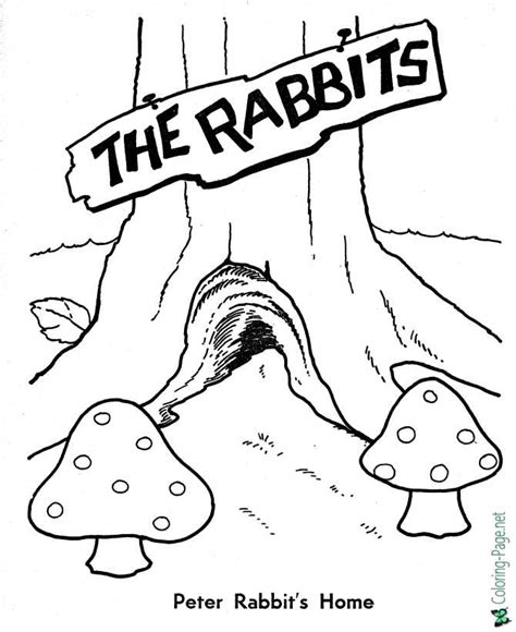 rabbits peter rabbit coloring pages