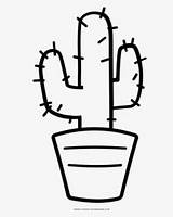 Cactus Coloring Cacto Kaktus Simples Cactos Pngitem Pinclipart Colorare Moments Ausmalen Cacti Clipartkey Malvorlagen Disegni Ausdrucken 118kb Colorironline Succulent Teahub sketch template