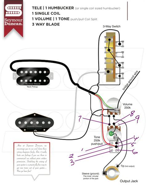 diagram gibson humbucker wiring diagram   single coil mydiagramonline