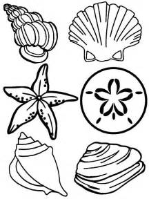 shell coloring pages    print