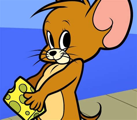 tom  jerry mi sendeoyla