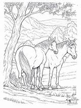 Pferde Wilde sketch template
