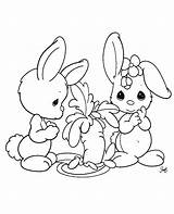 Rabbits Rabbit Carot Eat sketch template