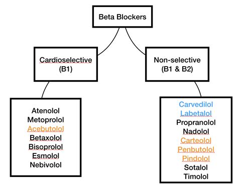 pharmacology   overview  beta blockers tldr pharmacy