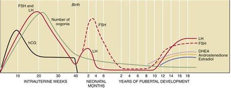 puberty and disorders of pubertal development hacker