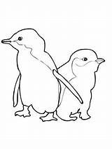 Penguin Coloring Pages Cute Blue Little Printable Penguins Fairy Baby Kids Two Crafts Animals Drawings Nature Getdrawings Choose Board sketch template