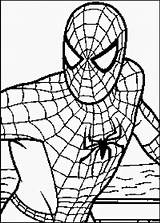 Spiderman Coloring Pages Printable Filminspector Characters sketch template