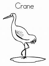 Crane Coloring Pages Birds Template Cranes Printable Pelican Whooping Color Recommended Kids Print Twistynoodle sketch template