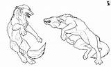 Wolf Fighting Fight Wolves Drawing Werewolf Lineart Deviantart Drawings Astrocat Getdrawings Paintingvalley Snowraven sketch template