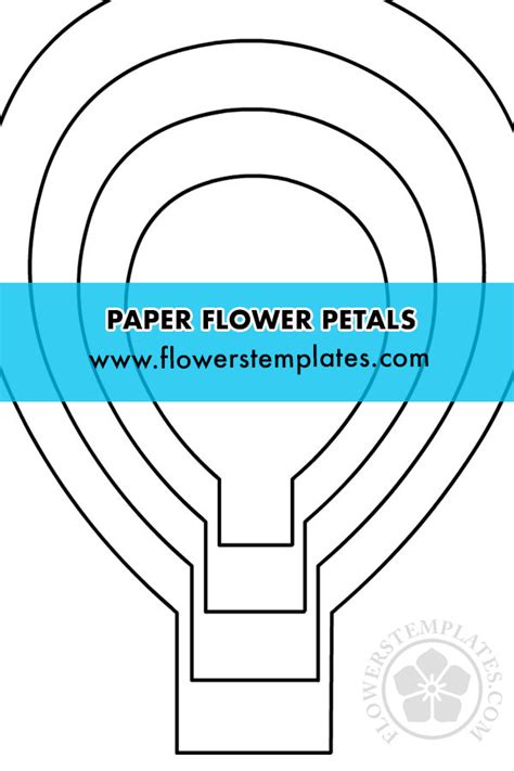 flower petal flowers templates