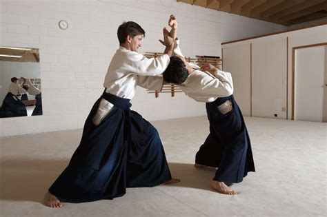 famous japanese martial arts styles
