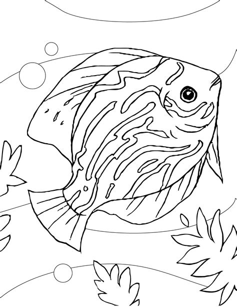 aquarium fish coloring pages  getcoloringscom  printable