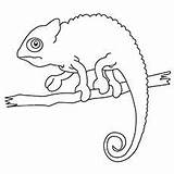 Chameleon Printables Camaleon Snake Momjunction Camouflage Kidsworksheetfun sketch template