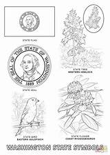 Coloring State Washington Alabama Symbols Pages Bird Tree Clipart Library Mississippi Popular Coloringhome sketch template