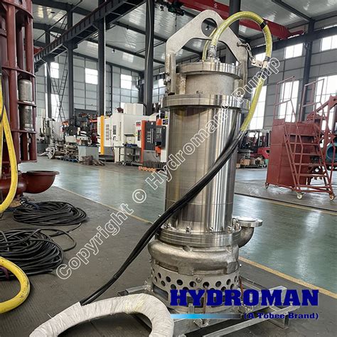 stainless steel submersible slurry pump stainless steel submersible sand pump ss submersible